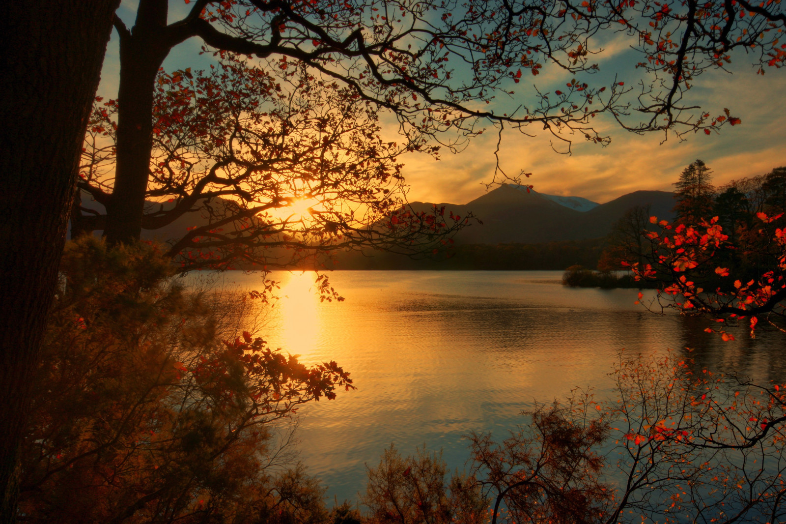 park_travel_november_blue_autumn_light_sunset_england-1047225
